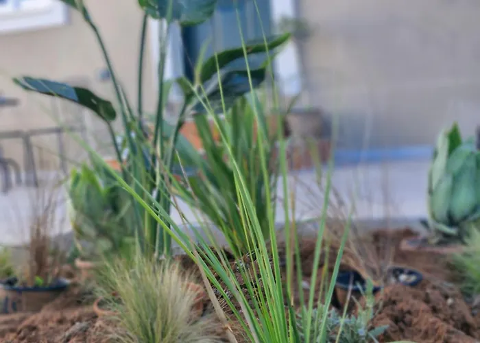 La Casa Di Antonio Corfu *